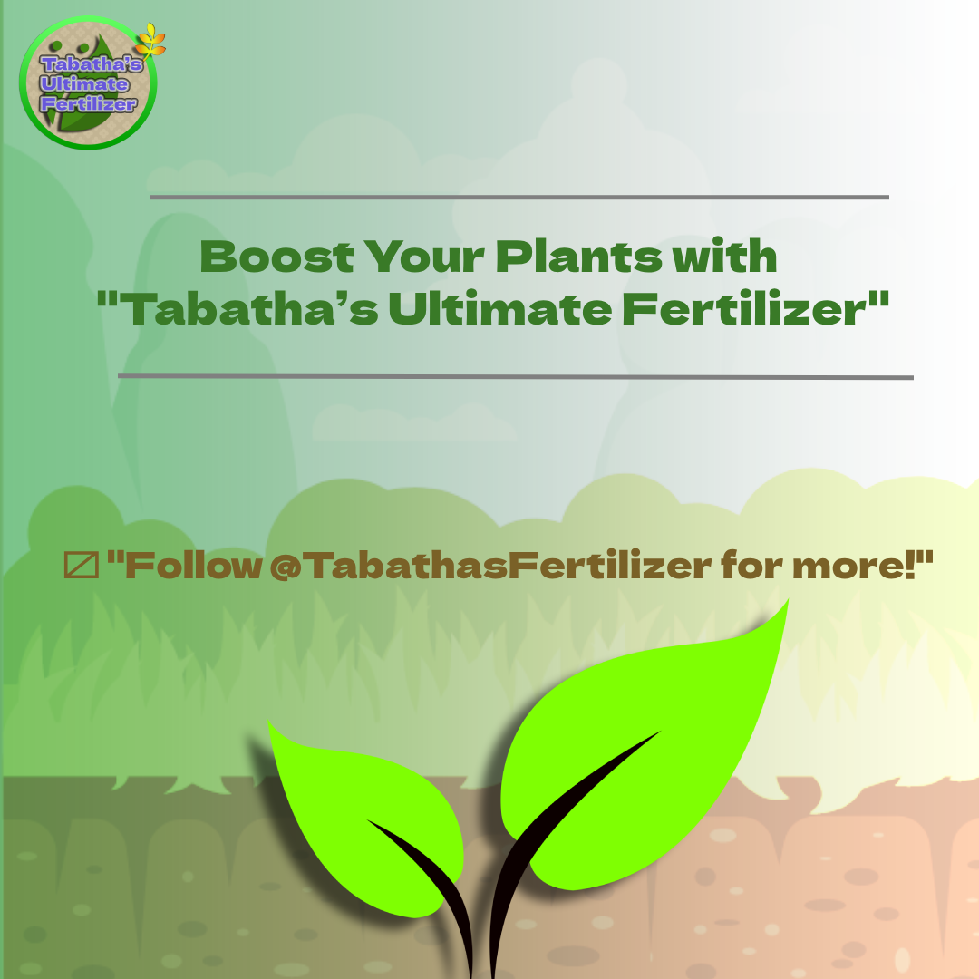 Image of Advertisement